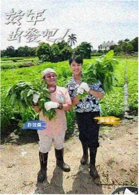 乘风2024